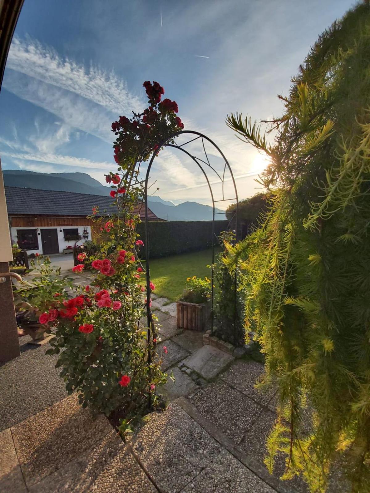 Appartment Luki Haus im Ennstal Esterno foto